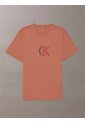 Camiseta Rosa Con Gráfico De Logo Calvin Klein de Calvin Klein