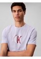 Camiseta Gris Con Gráfico De Logo Calvin Klein de Calvin Klein