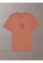 Camiseta Rosa Con Gráfico De Logo Calvin Klein de Calvin Klein