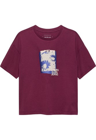 Camiseta Morado Flower Graphic Para Niña Calvin Klein Calvin Klein