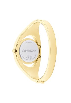 Reloj Calvin Klein Mujer 25200391