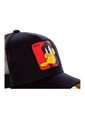 Gorra Malla Capslab Looney Tunes Pato Lucas Daffy Duck Black de Capslab