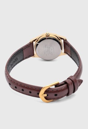 Reloj CASIO Marrón