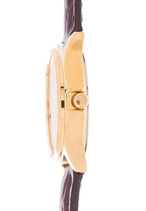 Reloj Marrón-Dorado Casio