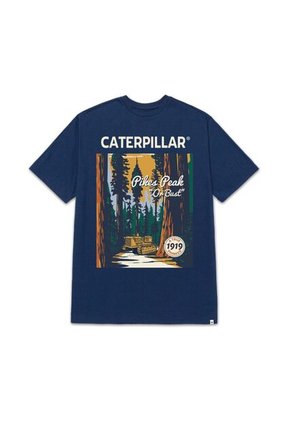 Camiseta Hombre CAT PROJECTS GRAPHC TEE Azul 2 CAT
