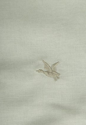 Camisa CHEVIGNON Verde