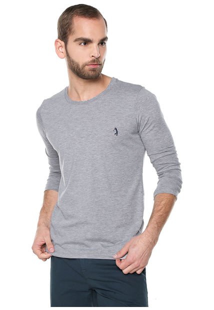 Camiseta Manga Larga Gris COLORE