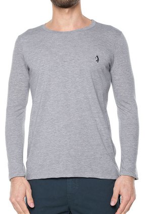 Camiseta Manga Larga Gris COLORE
