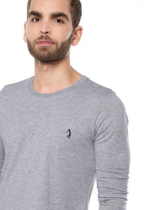 Camiseta Manga Larga Gris COLORE