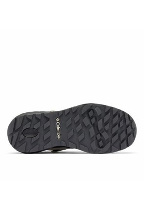 Botas Mujer Columbia NEWTON ALPINE PT Gris Columbia