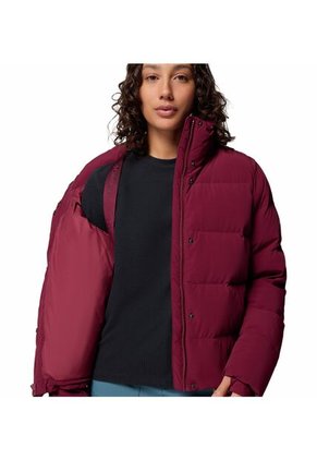 Chaquetas Mujer Columbia AMAZE PUFF HOODED Multicolor Columbia