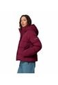 Chaquetas Mujer Columbia AMAZE PUFF HOODED Multicolor Columbia de Columbia