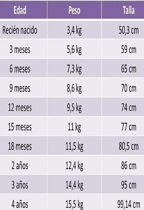 Vestido Ropa Niñas Conjuntos Vestir Prendas Enterizo