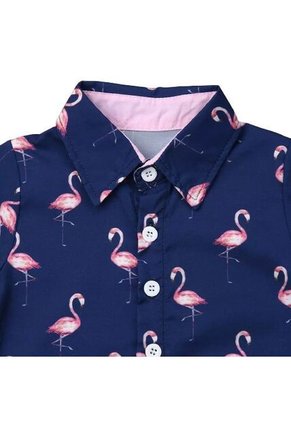 COMPRASTAO Ropa Para Niños Prendas Vestir Pantalones Cortos Y Camisa