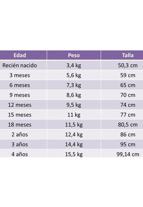 Ropa Niños Conjuntos Vestir  Bebes Pantalón Y Camiseta