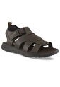 Sandalias Salvador Café Croydon Para Hombre de Croydon