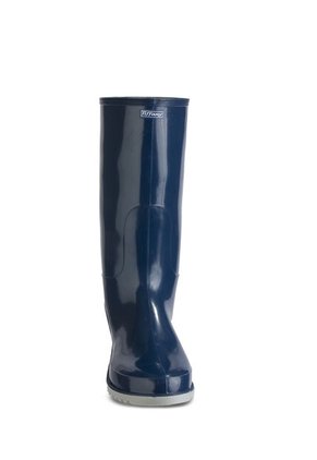 Botas Tiffany Azul Para Mujer Croydon