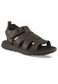 Sandalias Salvador Café Croydon Para Hombre de Croydon
