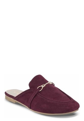 Zuecos Danay Croydon Croydon