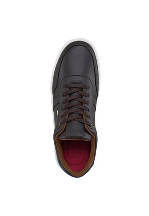 Tenis Urbanos Axis Café Croydon Para Hombre