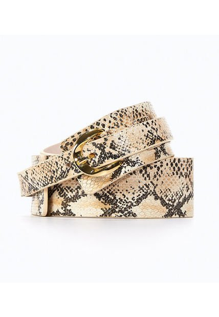 Correa Arena Derek 824754