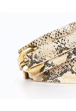 Correa Arena Derek 824754