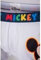 Pack X2 Boxer De Mickey Mouse Blanco Y Gris Para Niño 2T A 5T 2T de Disney