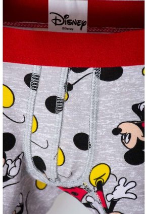 Pack X2 Boxer De Mickey Mouse Blanco Y Gris Para Niño 2T A 5T 3T