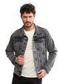 Chaqueta Gris DOUGGER INDIANA. de DOUGGER
