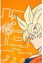 Pijama De Dragon Ball De Pantalón Largo Naranja Y Azul Para Niño 10 de DRAGON BALL