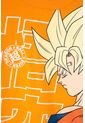 Pijama De Dragon Ball De Pantalón Largo Naranja Y Azul Para Niño 6 de DRAGON BALL