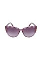 Gafas Draper James Modelo Dj7045-5517505 Purpura Mujer de DRAPER JAMES SUN