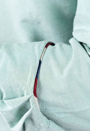 Camisa El Ganso Verde