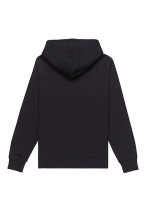 Buzo Element Zip Hoodie