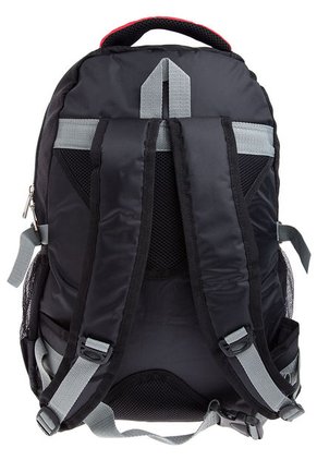 Morral Gris-Rojo Explora