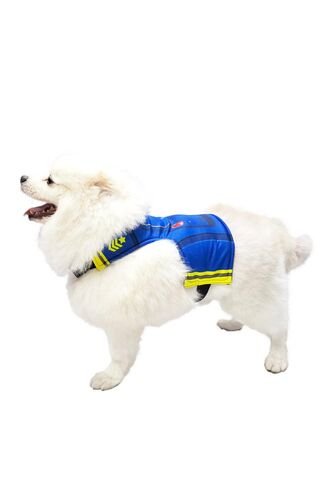 DISFRAZ PAW PATROL CHASE MASCOTAS Azul Fantastic Night