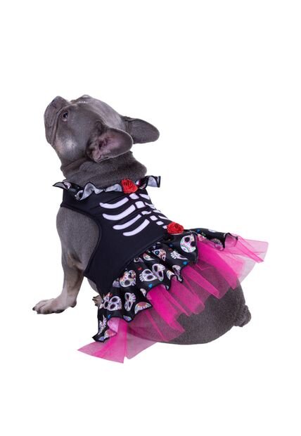 DISFRAZ CATRINA MASCOTAS Negro