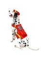 DISFRAZ PAW PATROL MARSHALL MASCOTAS Rojo de Fantastic Night
