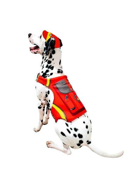 DISFRAZ PAW PATROL MARSHALL MASCOTAS Rojo