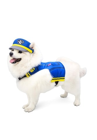 DISFRAZ PAW PATROL CHASE MASCOTAS RAZAS PEQUEÑAS Azul Fantastic Night