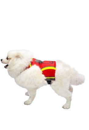 DISFRAZ PAW PATROL MARSHALL MASCOTAS Azul