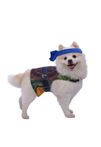 DISFRAZ TORTUGA NINJA MASCOTA RAZAS PEQUEÑAS Verde