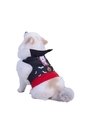DISFRAZ DRACULA MASCOTAS Negro de Fantastic Night