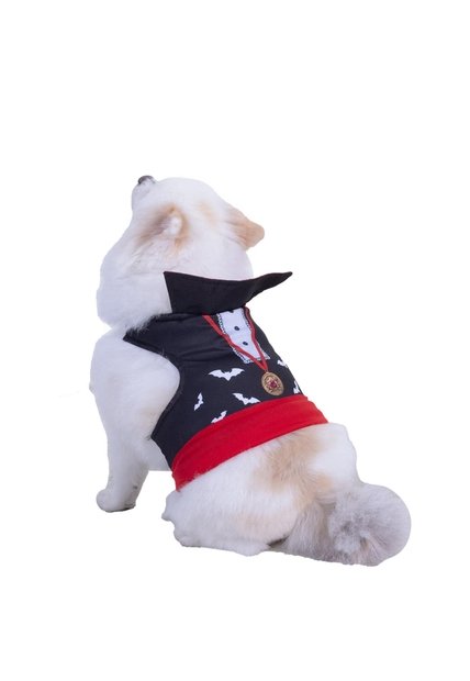 DISFRAZ DRACULA MASCOTAS Negro