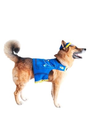DISFRAZ PAW PATROL CHASE MASCOTAS Azul