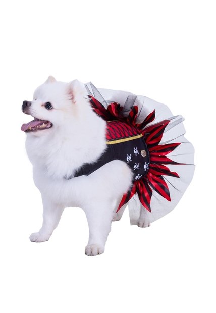DISFRAZ PIRATA MASCOTAS Rojo
