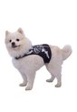 DISFRAZ ESQUELETO MASCOTAS Negro de Fantastic Night
