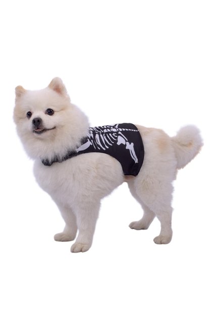 DISFRAZ ESQUELETO MASCOTAS Negro