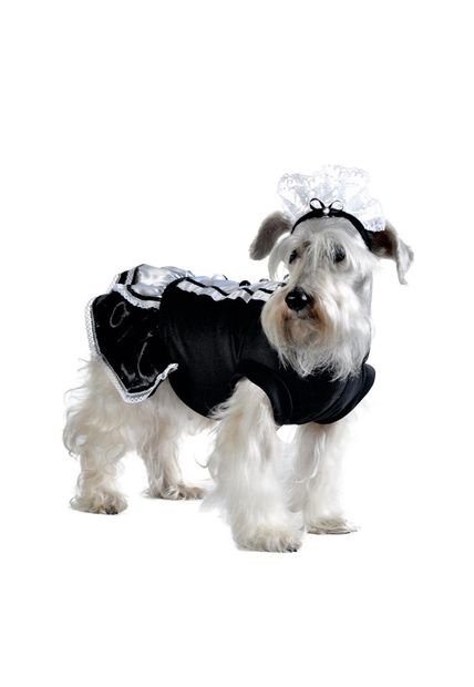 DISFRAZ CAMARERA MASCOTAS Blanco