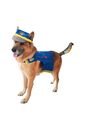 DISFRAZ PAW PATROL CHASE MASCOTAS Azul de Fantastic Night